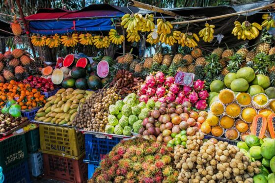 Thai commerce minister to boost fruit exports to China via Laos