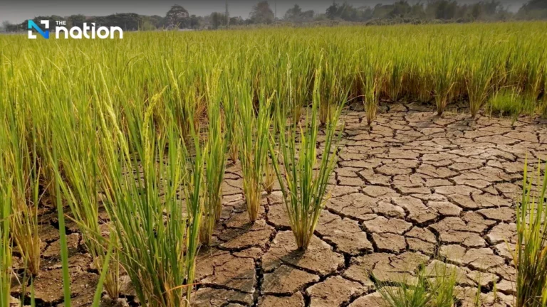 How sustainable agriculture can help Thailand cope with climate change